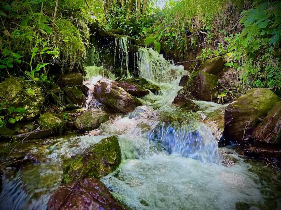 Bergerie De Lasariberes Gazost (Hautes-Pyrenees) Exterior foto